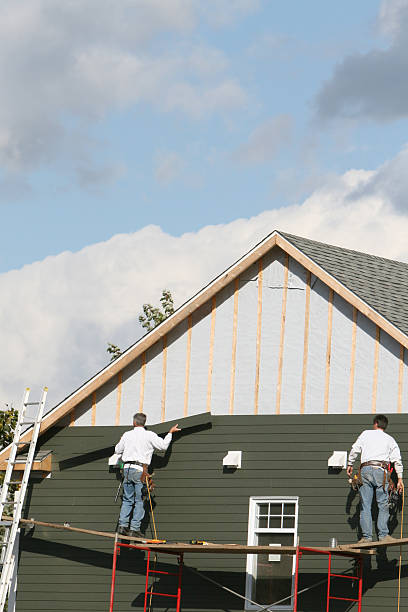 Best Custom Siding Design  in Forty Fort, PA