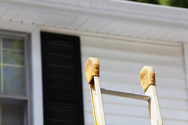 Best Siding Painting and Refinishing  in Forty Fort, PA